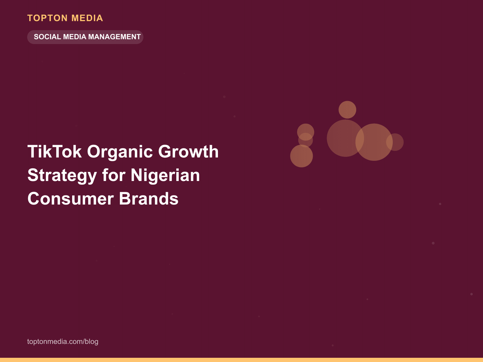 TikTok Organic Growth Strategy for Nigerian Consumer Brands